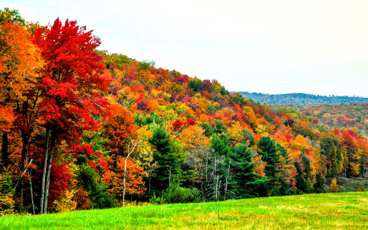 🍁 Why Fall is the Best Time to Buy Land in Hugo, OK